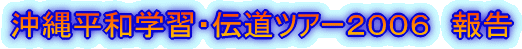 ���ꕽ�a�w�K�E�`���c�A�[  �Q�O�O�S